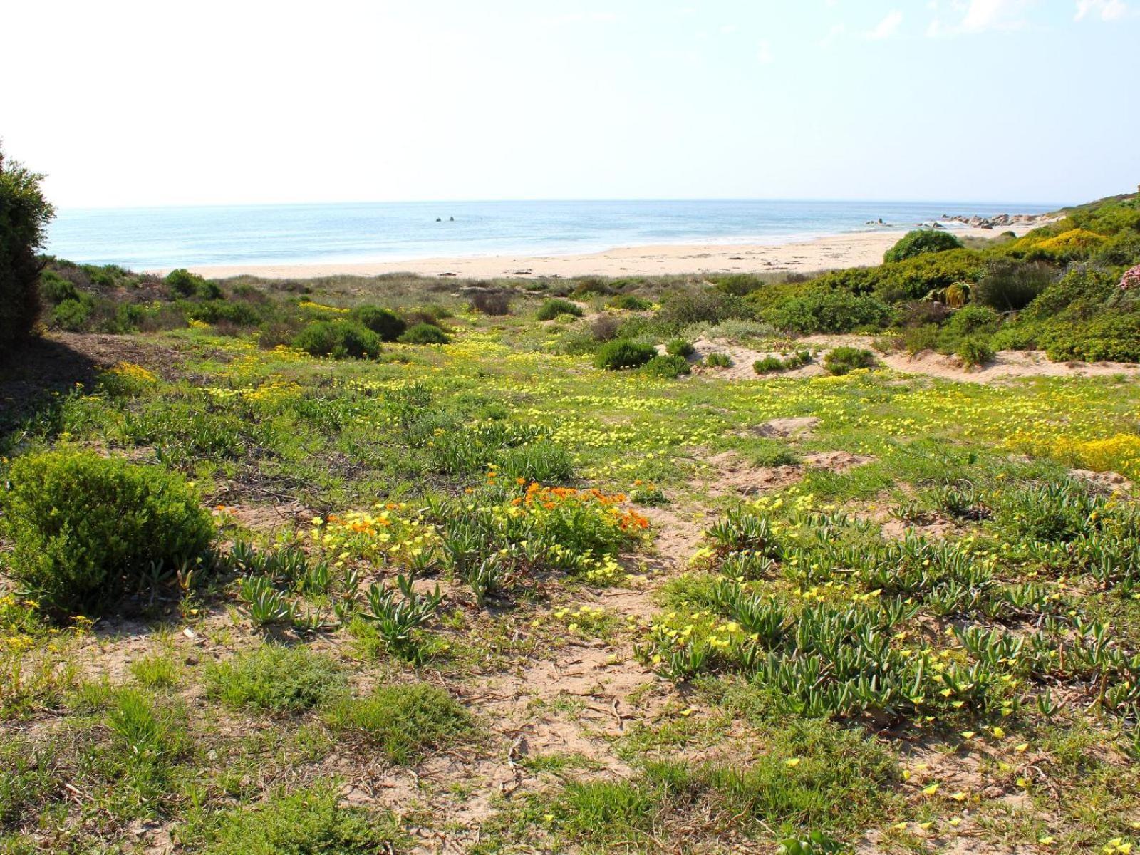 Absolute Beach Accommodation Stompneusbaai Exterior foto